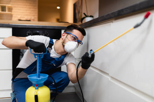 Best Ant Control Services  in Oak Harbor, WA