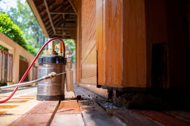 Best Exterminator Services  in Oak Harbor, WA