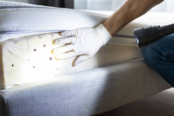 Best Cockroach Control Services  in Oak Harbor, WA