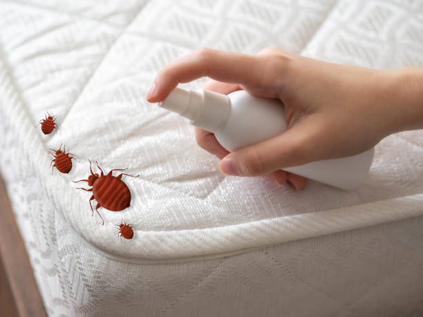 Best Best Pest Control Companies  in Oak Harbor, WA