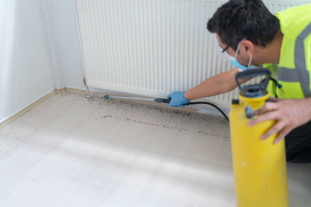 Reliable Oak Harbor, WA Pest Control Solutions