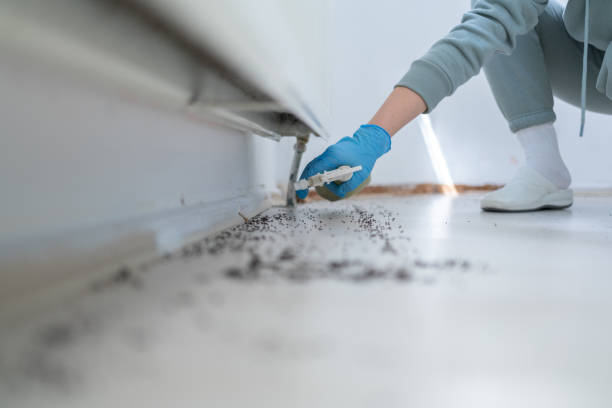 Best Pest Inspection Near Me  in Oak Harbor, WA
